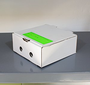 Caja para 2 salteña 14x14x6