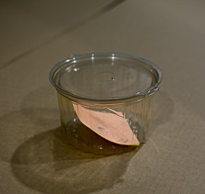 Pote redondo alto de 500ml